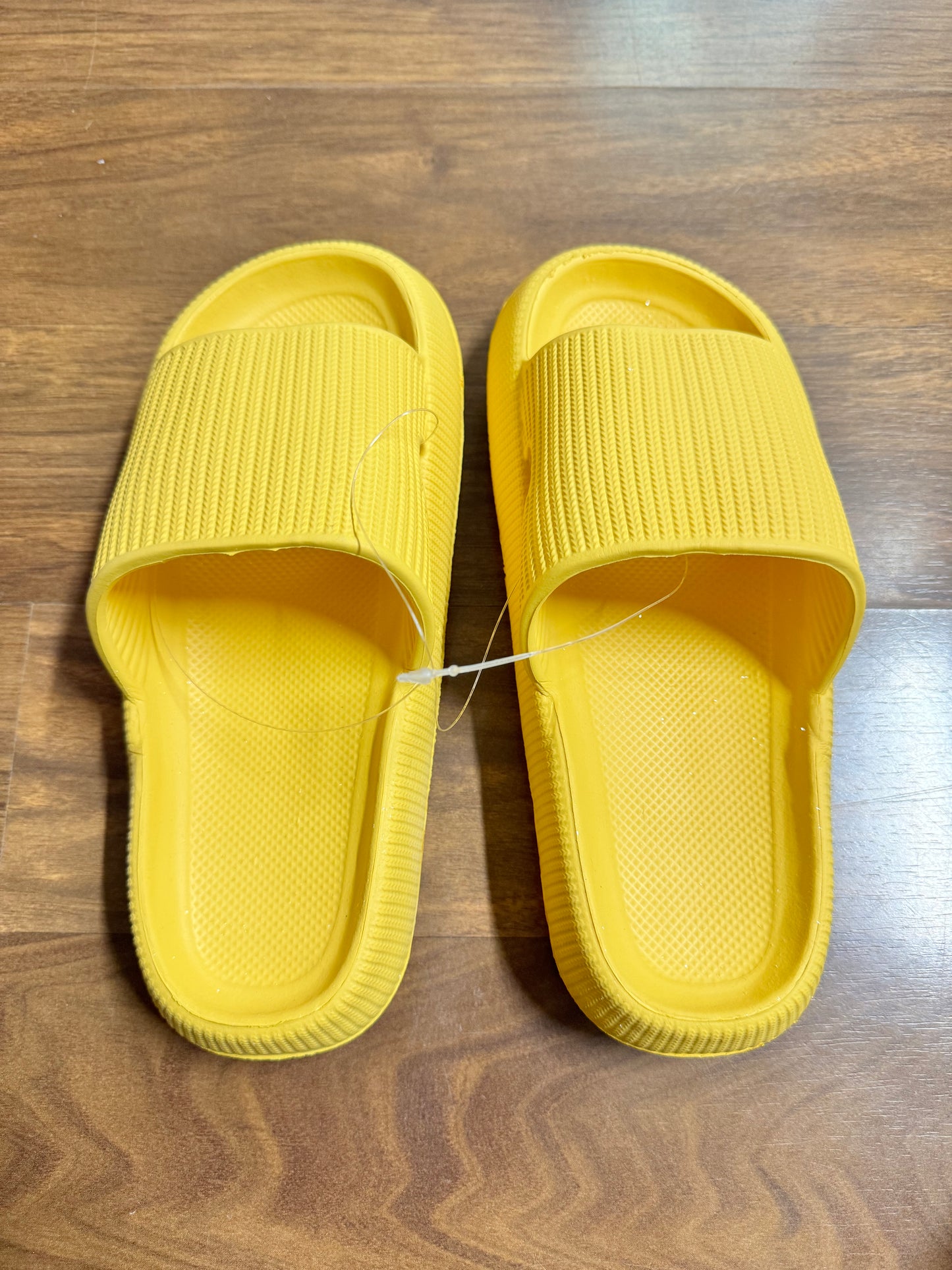 Summer Slides.